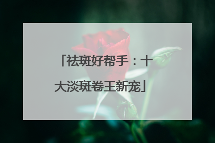 祛斑好帮手：十大淡斑卷王新宠