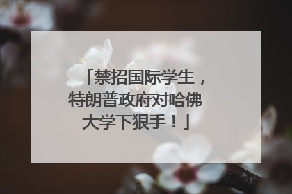 禁招国际学生，特朗普政府对哈佛大学下狠手！