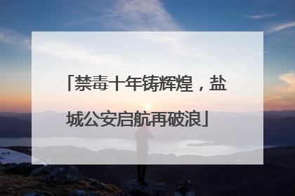 禁毒十年铸辉煌，盐城公安启航再破浪