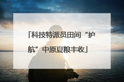 科技特派员田间“护航”中原夏粮丰收