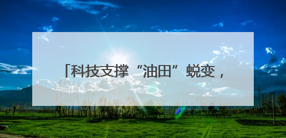科技支撑“油田”蜕变，东营盐碱地油菜丰收忙
