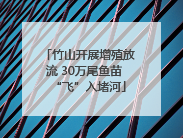 竹山开展增殖放流 30万尾鱼苗“飞”入堵河