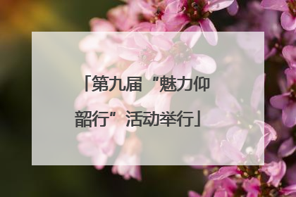 第九届“魅力仰韶行”活动举行