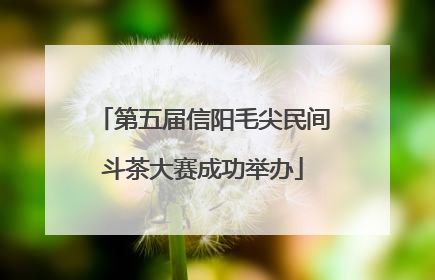 第五届信阳毛尖民间斗茶大赛成功举办