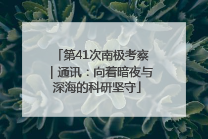 第41次南极考察｜通讯：向着暗夜与深海的科研坚守