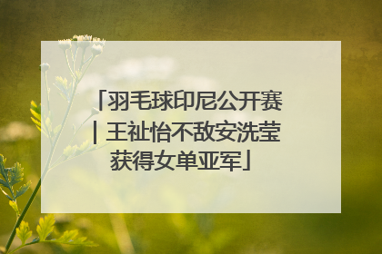 羽毛球印尼公开赛｜王祉怡不敌安洗莹 获得女单亚军