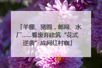 羊棚、猪圈，邮局、水厂……看废弃建筑“花式逆袭”成网红村咖