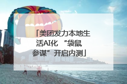 美团发力本地生活AI化 “袋鼠参谋”开启内测