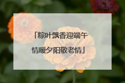 粽叶飘香迎端午 情暖夕阳敬老情