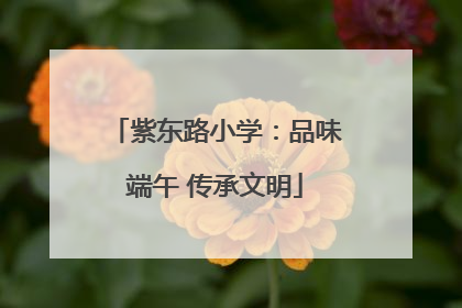紫东路小学：品味端午 传承文明