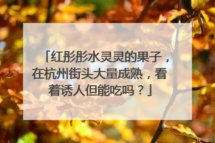 红彤彤水灵灵的果子，在杭州街头大量成熟，看着诱人但能吃吗？