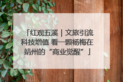 红观五溪｜文旅引流 科技增值 看一颗杨梅在靖州的“商业觉醒”