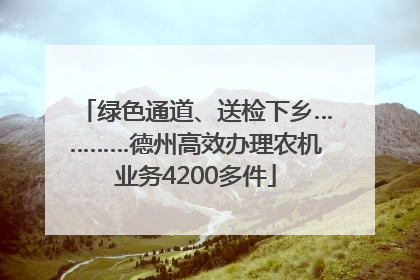 绿色通道、送检下乡…………德州高效办理农机业务4200多件