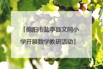 绵阳市盐亭县文同小学开展数学教研活动