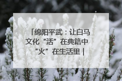 绵阳平武：让白马文化“活”在典籍中 “火”在生活里｜新闻发布最前线