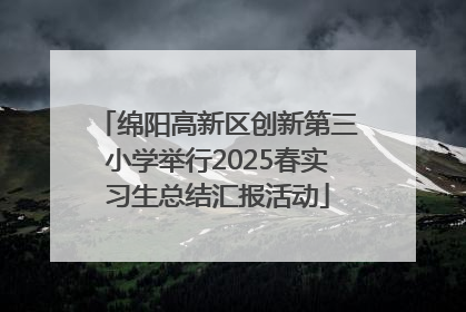 绵阳高新区创新第三小学举行2025春实习生总结汇报活动