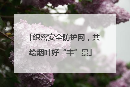 织密安全防护网，共绘烟叶好“丰”景