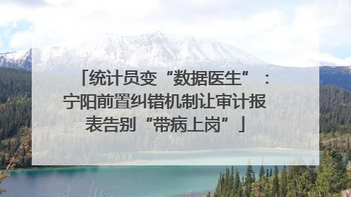 统计员变“数据医生”：宁阳前置纠错机制让审计报表告别“带病上岗”
