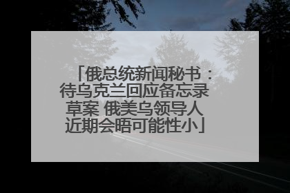 俄总统新闻秘书：待乌克兰回应备忘录草案 俄美乌领导人近期会晤可能性小