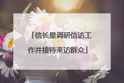 信长星调研信访工作并接待来访群众