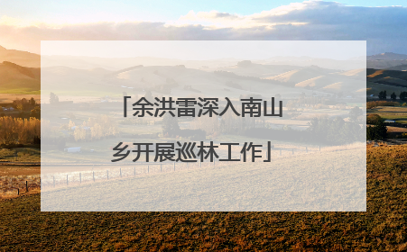 余洪雷深入南山乡开展巡林工作