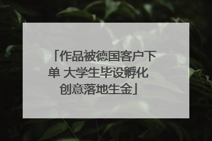 作品被德国客户下单 大学生毕设孵化创意落地生金