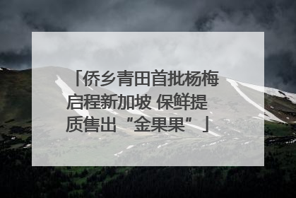 侨乡青田首批杨梅启程新加坡 保鲜提质售出“金果果”