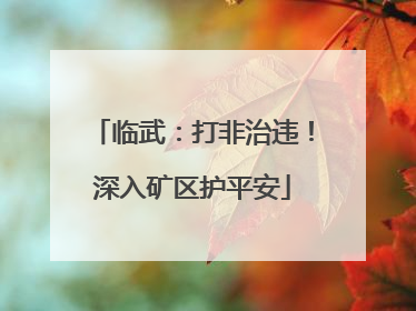 临武：打非治违！深入矿区护平安