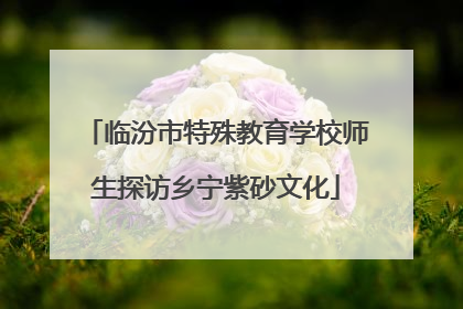 临汾市特殊教育学校师生探访乡宁紫砂文化