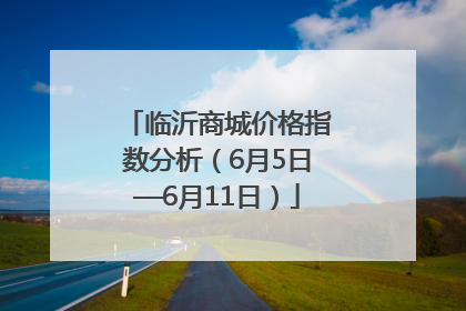临沂商城价格指数分析（6月5日—6月11日）