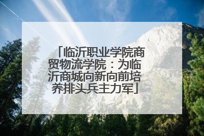 临沂职业学院商贸物流学院：为临沂商城向新向前培养排头兵主力军