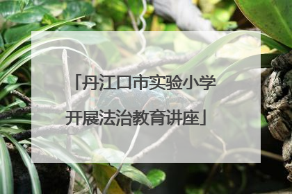 丹江口市实验小学开展法治教育讲座