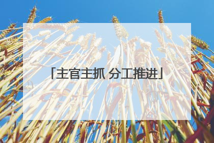 主官主抓 分工推进