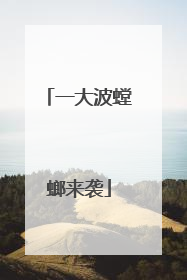 一大波螳螂来袭