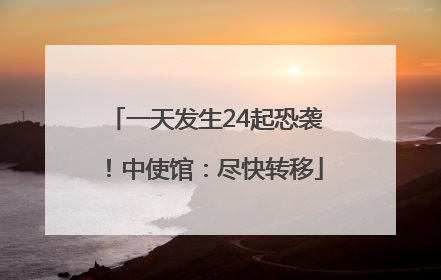 一天发生24起恐袭！中使馆：尽快转移