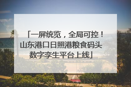 一屏统览，全局可控！山东港口日照港粮食码头数字孪生平台上线