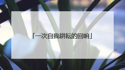 一次自我耕耘的回响