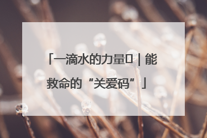 一滴水的力量㉖｜能救命的“关爱码”