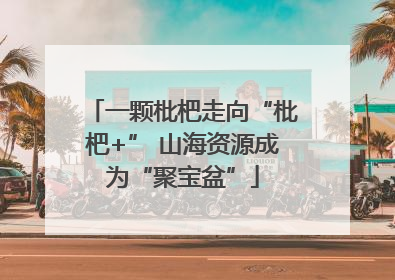 一颗枇杷走向“枇杷+” 山海资源成为“聚宝盆”