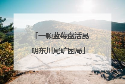 一颗蓝莓盘活昆明东川尾矿困局