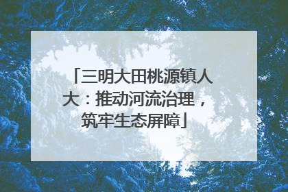 三明大田桃源镇人大：推动河流治理，筑牢生态屏障