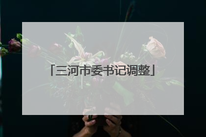 三河市委书记调整