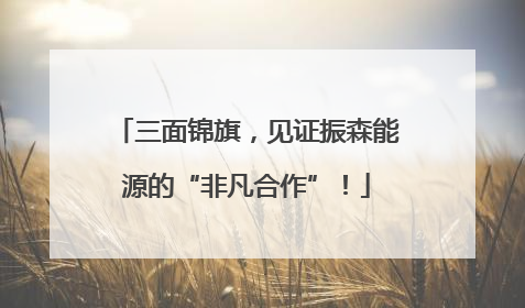 三面锦旗，见证振森能源的“非凡合作”！