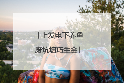 上发电下养鱼 废坑塘巧生金