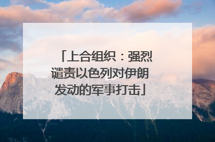 上合组织：强烈谴责以色列对伊朗发动的军事打击