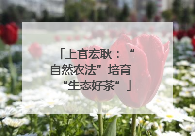 上官宏耿：“自然农法”培育“生态好茶”