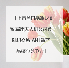 上市首日暴涨140% 军用无人机公司登陆纽交所 AI打造产品核心竞争力