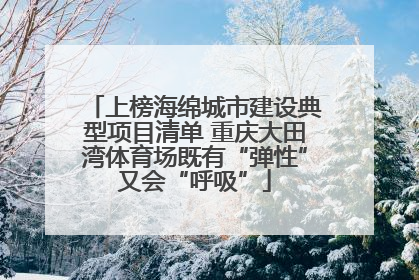 上榜海绵城市建设典型项目清单 重庆大田湾体育场既有“弹性”又会“呼吸”