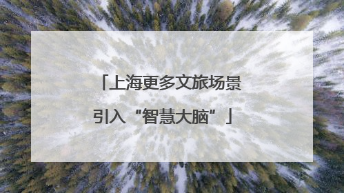 上海更多文旅场景引入“智慧大脑”