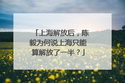 上海解放后，陈毅为何说上海只能算解放了一半？